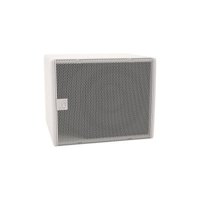 MARTIN AUDIO CSX112W